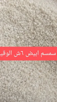 سمسم أبيض - سوق غزة