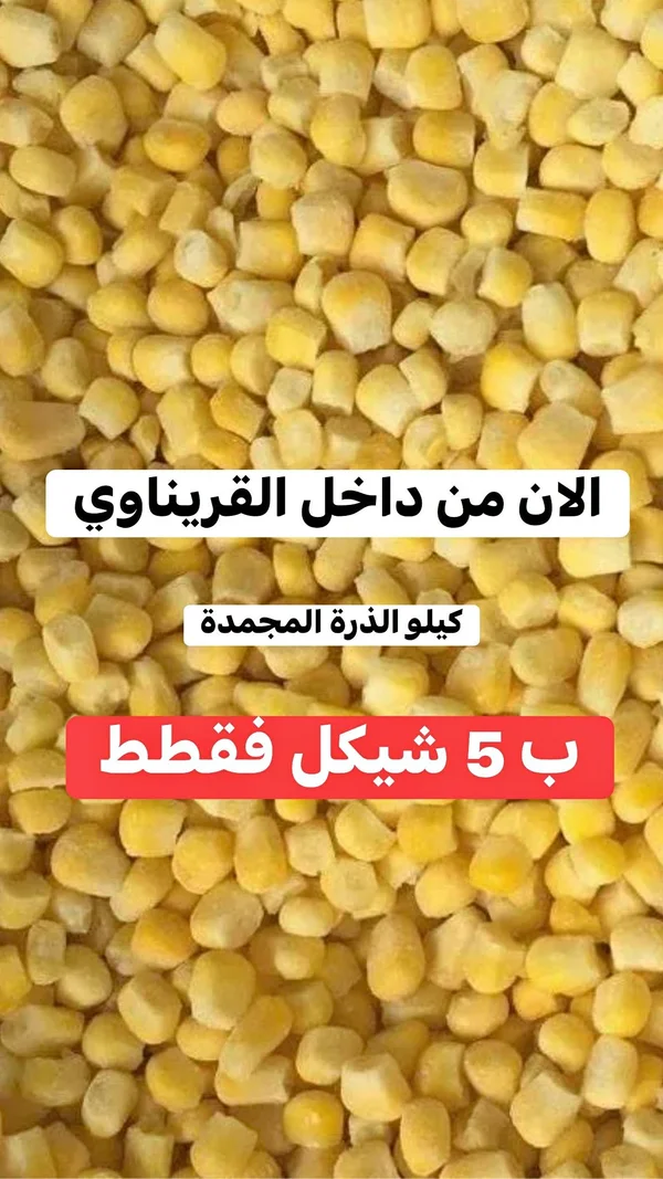 ذرة حلوة مجمدة - القرينـاوي - مواد غذائية وبقالة - سوق غزة