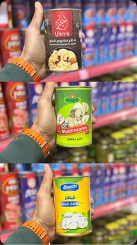 فطر مشروم قطع - كوين