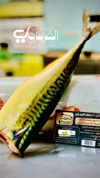 سمك مقدد مملح - حجازي