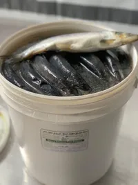 سمك مملح - منتجات بحرية طازجة