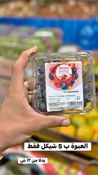 توت أزرق طازج - إيدال فارمز (Ideal Farms) - سوق غزة