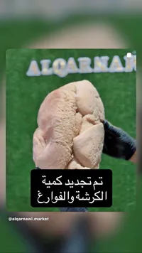 كرشة وفوارغ طازجة - القرناوي
