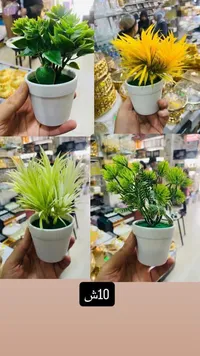 نبات صناعي مصغر بوعاء أبيض
