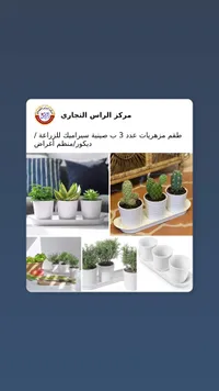طقم أصص نباتات سيراميك - مركز الراس التجاري