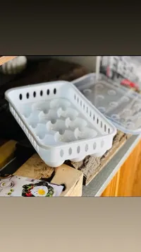 منظم بيض بلاستيكي مع غطاء