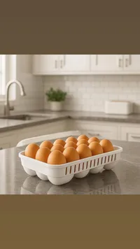 منظم بيض بلاستيكي للمطبخ