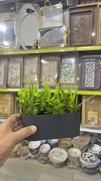 أصيص زرع صناعي أسود