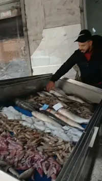 سمك طازج - أسماك بحرية مشكلة