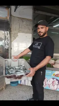 سمك السردين الطازج