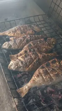 سمك مشوي على الفحم