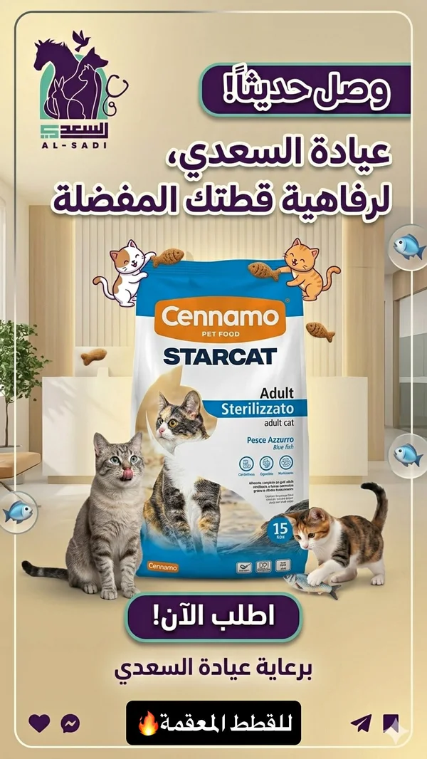 طعام قطط معقمة بالسمك الأزرق - ستاركات من سينامو (Cennamo) - مواشي وأغنام - سوق غزة