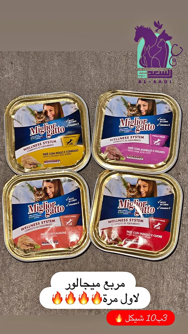ميليور جاتو طعام رطب للقطط (Miglior Gatto) - مواشي وأغنام - سوق غزة