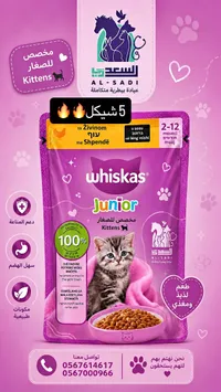 طعام قطط جونيور - ويسكاس (Whiskas)
