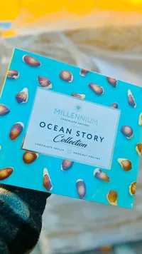 Ocean Story Collection - Chocolate Shells with Hazelnut Praline