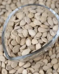 بزر بطيخ