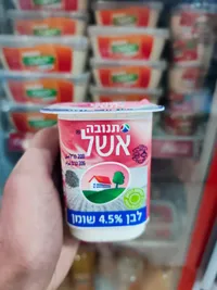 شمينت - تنوفا