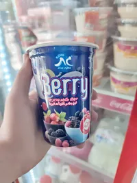 لبن زبادي بالفواكه البرية - محلية جت (Gat)
