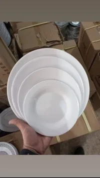 مجموعة أطباق بيضاء