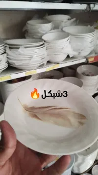 صحن تقديم بلاستيكي بنقشة الريشة - سوق غزة