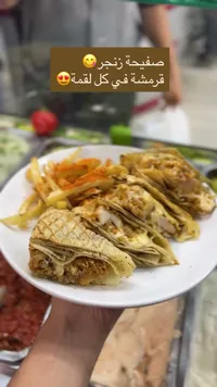 صفيحة زنجر