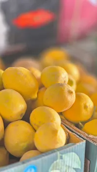 ليمون طازج