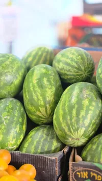 بطيخ أخضر طازج