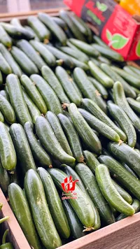 خيار طازج - حصاد الطازة