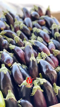 باتنجان طازج - منتجات محلية