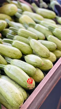 كوسا طازة - محلية