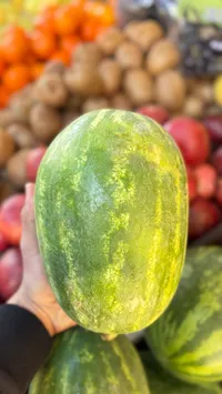 بطيخ أخضر طازج