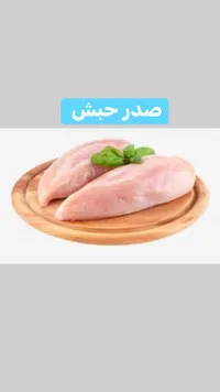 صدر حبش - صدر حبش