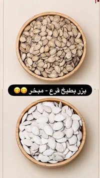 بزر بطيخ وقرع مبخر