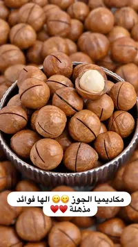 جوز المكاديميا الطبيعي