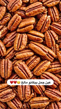 عين جمل بيكان مملح