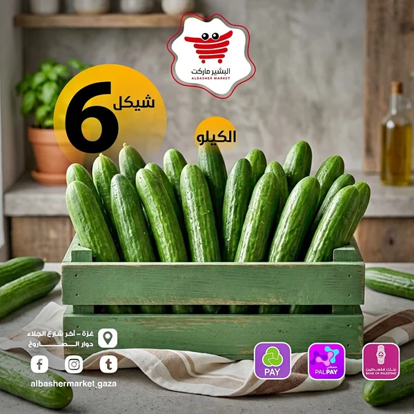 خيار طازج - مواد غذائية وبقالة - سوق غزة