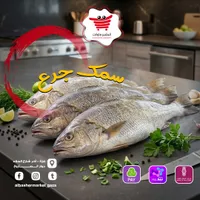 سمك جرع طازج - البشير ماركت