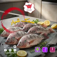 سمك شبار طازج