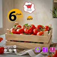 طماطم طازجة - البشير ماركت - سوق غزة