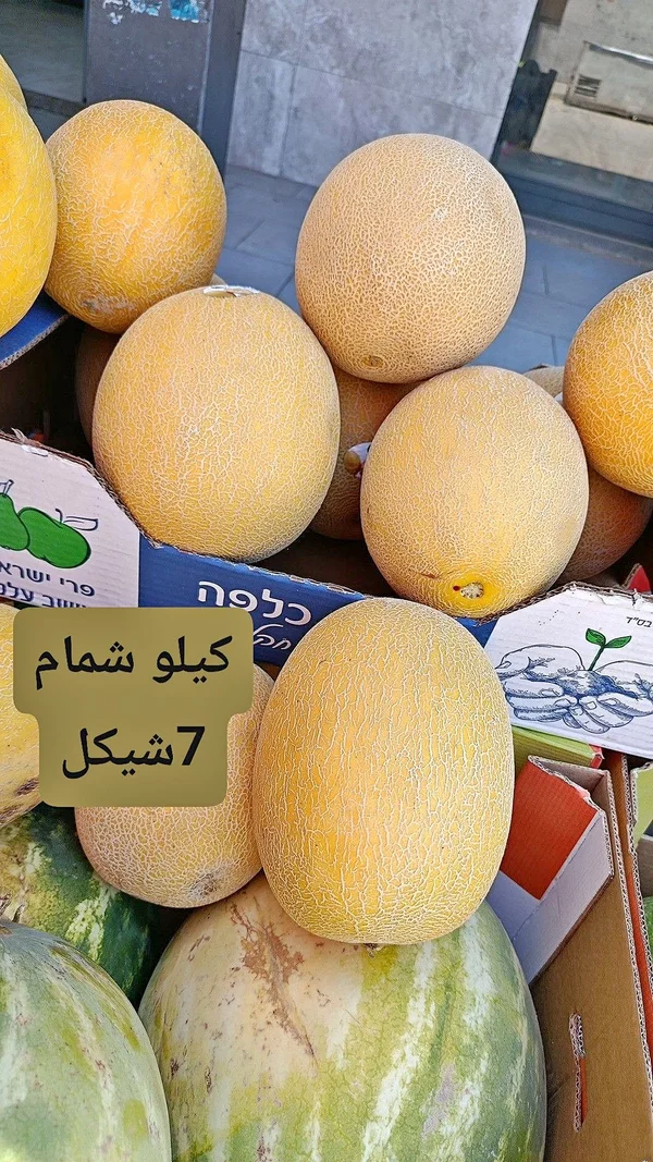 شمام طازج - مواد غذائية وبقالة - سوق غزة