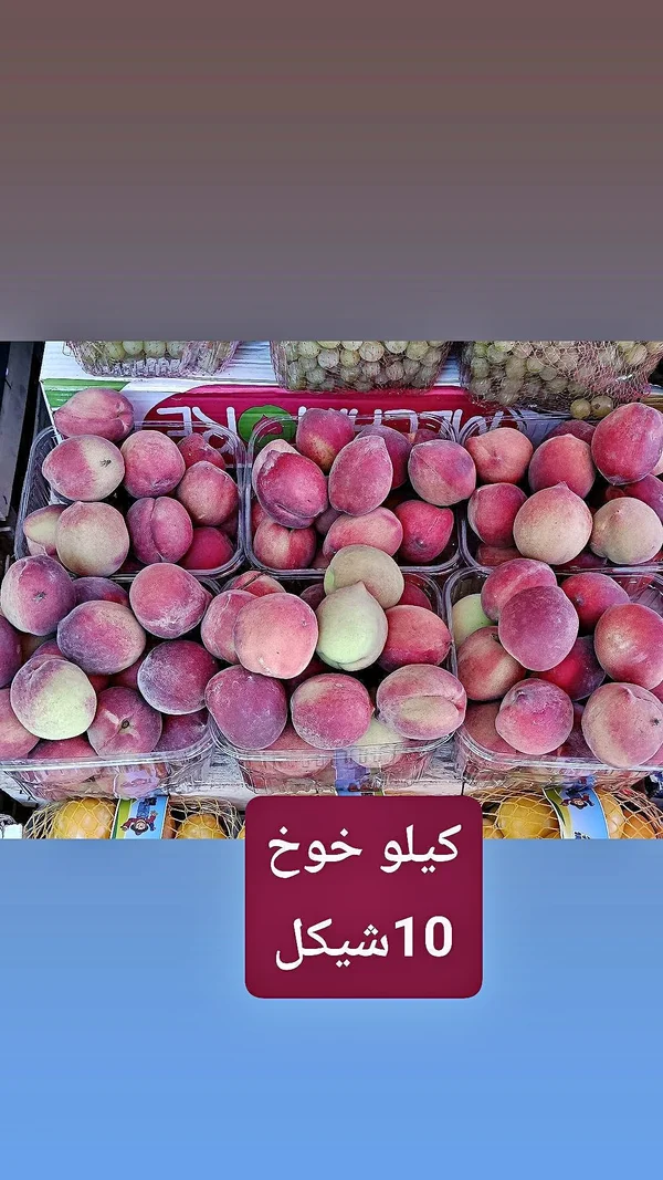 خوخ طازج - مواد غذائية وبقالة - سوق غزة