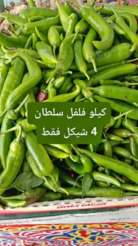 فلفل أخضر حار - سلطان - سوق غزة