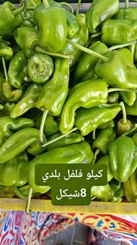 فلفل أخضر بلدي - سوق غزة