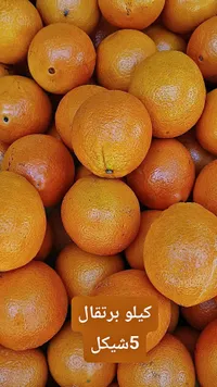 برتقال طازج - سوق غزة