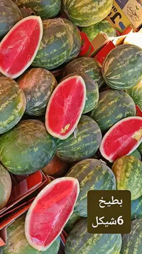 بطيخ طازج - سوق غزة