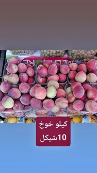 خوخ طازج - سوق غزة