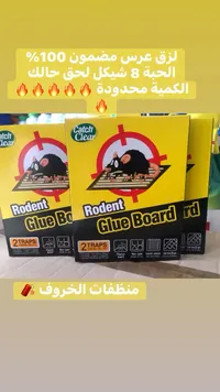 مصيدة فئران لاصقة - كاتش كلير (Catch Clear) - سوق غزة