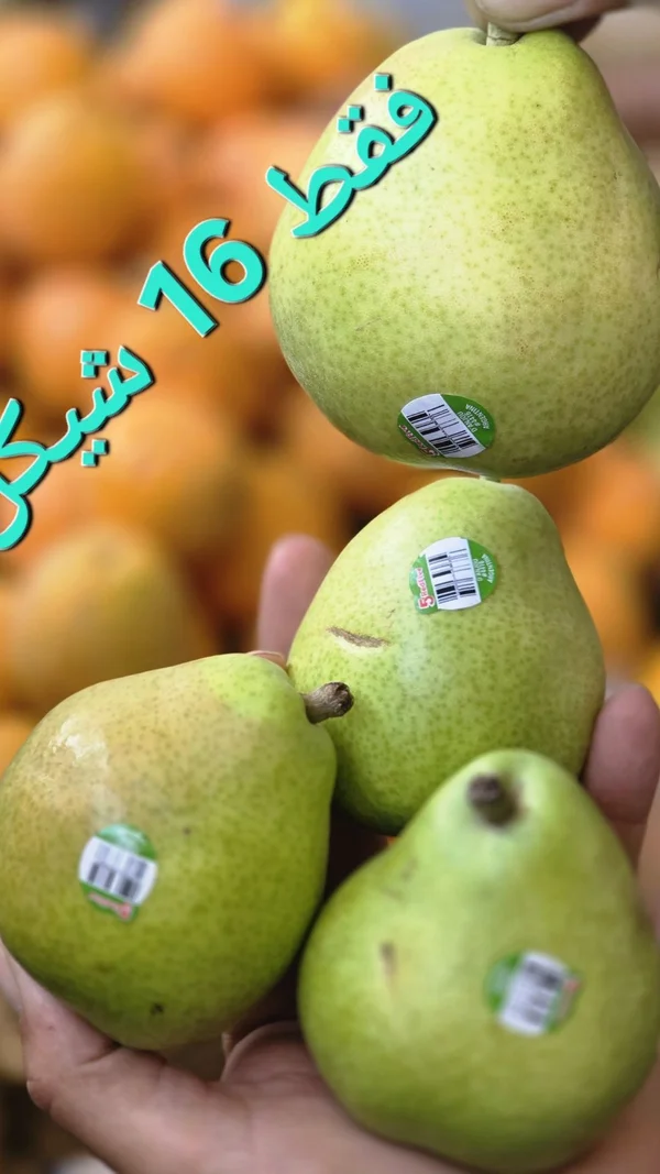 كمثرى طازجة مستوردة - ريد بير (Red Pear) - مواد غذائية وبقالة - سوق غزة