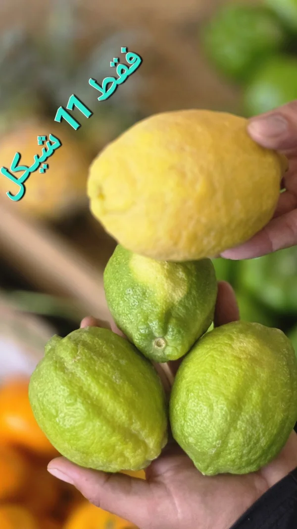 ليمون طازج - مواد غذائية وبقالة - سوق غزة
