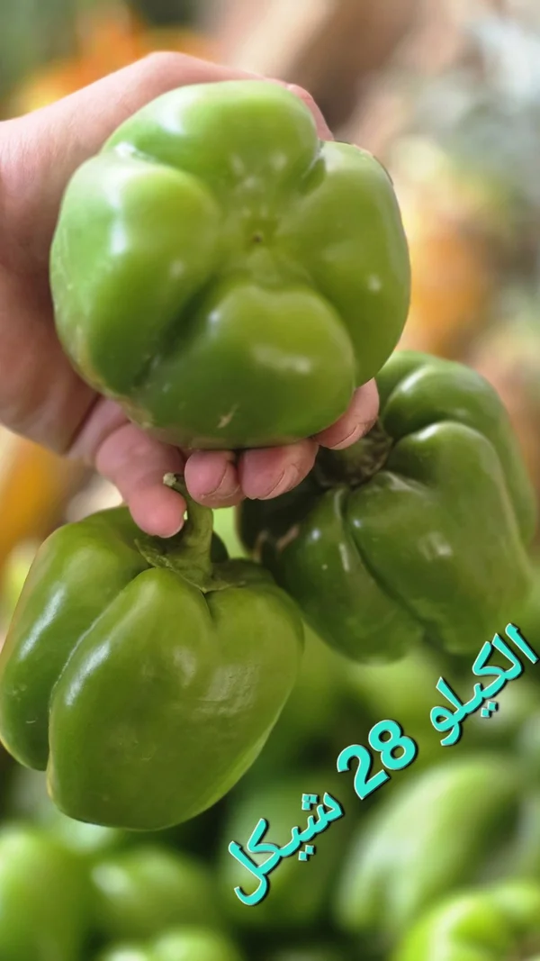 فلفل حلو أخضر - مواد غذائية وبقالة - سوق غزة